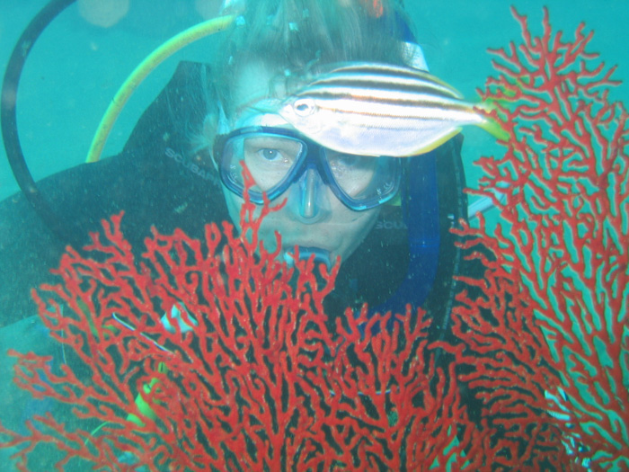 Diver with fan